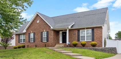 1113 Lucas Wayne Dr, Clarksville
