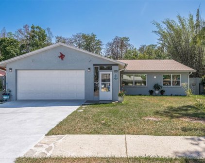 8040 Brown Pelican Avenue, New Port Richey