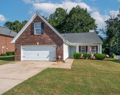 864 Thornbird, Boiling Springs
