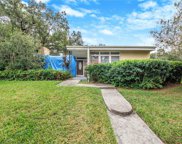 3601 River Grove Drive, Tampa image