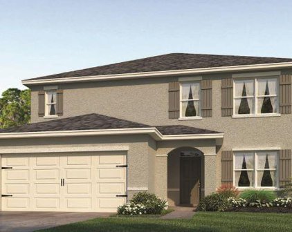 4869 Panga Avenue, Mount Dora