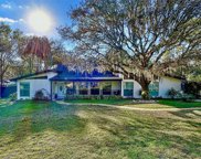 34 Pine Forest Lane, Haines City image