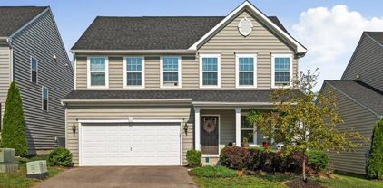 147 Tollerton Trl, Falling Waters