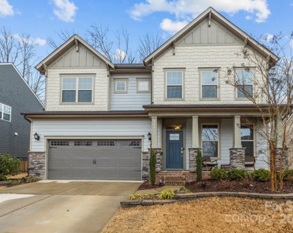 16437 Palisades Commons  Drive, Charlotte
