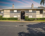 2087 Hunters Glen Drive Unit 128, Dunedin image