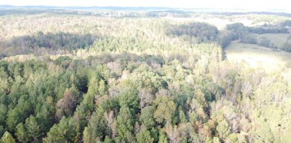 0-TR 3 County Rd 408, Heflin