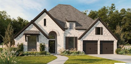 3209 Little Willow, San Antonio