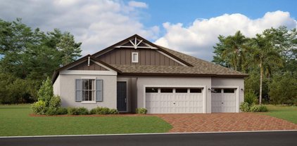 9883 Sword Fern Way, Land O' Lakes