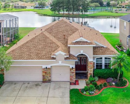 27236 Hollybrook Trail, Wesley Chapel