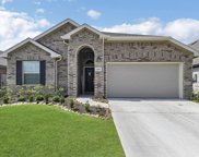 24050 Hawthorn Lakes Drive, New Caney image
