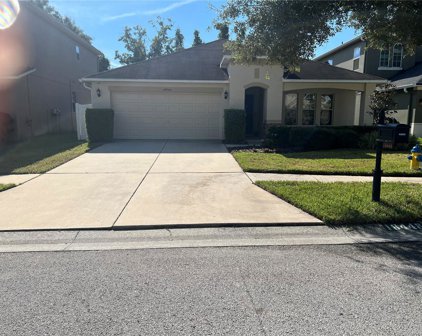 18448 Red Willow Way, Land O' Lakes