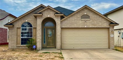 4602 Donegal Bay Court, Killeen