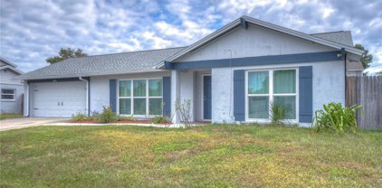 12513 Brucie Place, Tampa