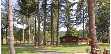 40553 LITTLE FALL CREEK RD, Fall Creek