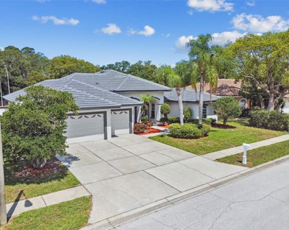 206 Old Oak Circle, Palm Harbor