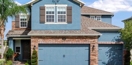 19319 Long Lake Ranch Boulevard, Lutz