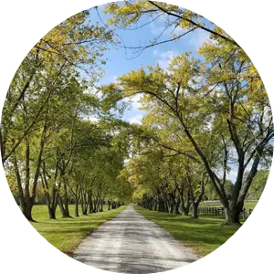 Summerlin Homes