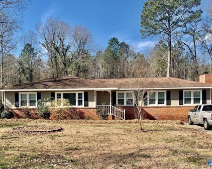 308 Waldrop Road, Rainbow City