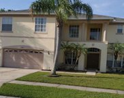 Kissimmee image