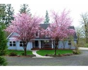 19507 NE DAWN DR, Yacolt image