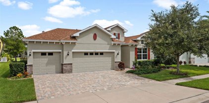 8232 Water Color Drive, Land O' Lakes