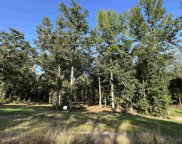 3226 Shadow Pine Drive, LaRue image