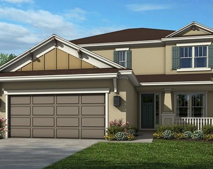 2070 Riparian Lane, Wesley Chapel