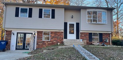 14376 Shetland Ct, Woodbridge