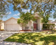 12836 Big Sur Drive, Tampa image