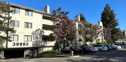 39993 Fremont Boulevard Unit 103, Fremont
