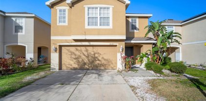12121 Fern Blossom Drive, Gibsonton