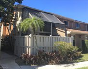 13192 Broadhurst  Loop, Fort Myers image