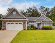 704 Soldier Gray Lane, Chapin image