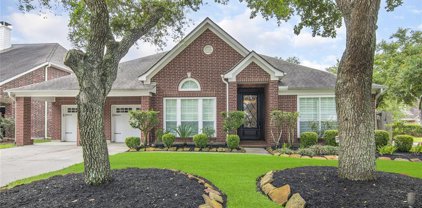 2908 Autumn Cove Court, Friendswood