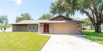 3001 Wilton Lane, Valrico