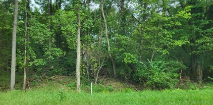 Buck Neck Road, Chestertown