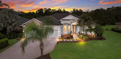 16516 Rivers Reach Boulevard, Parrish
