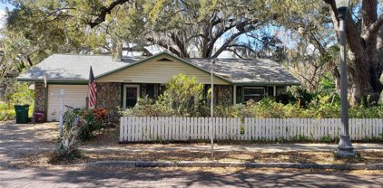 215 2nd Avenue N, Safety Harbor