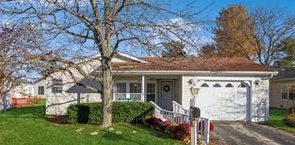 204 Amendola Way, Grayslake