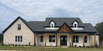 3719 Watson Desoto Road, Byhalia