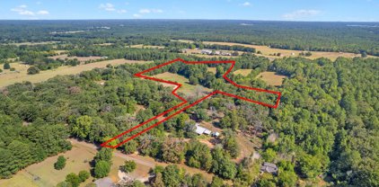 LOT 6 CR 2138 (OLD TYLER HWY), Troup
