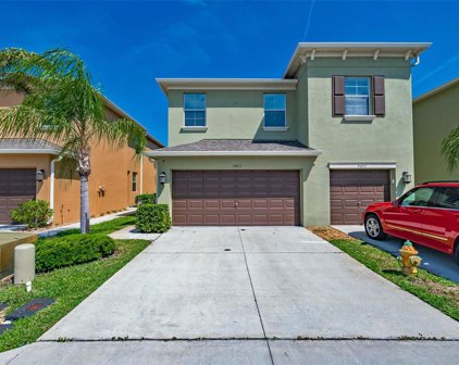 9493 Trumpet Vine Loop, Trinity