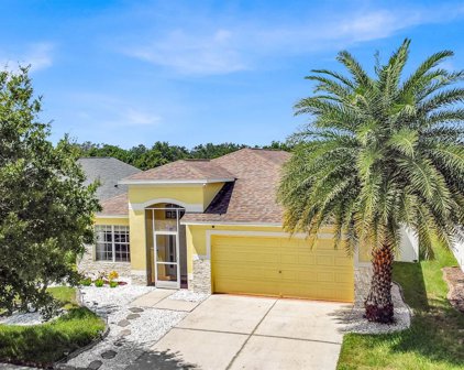 10036 Creek Bluff Drive, Riverview