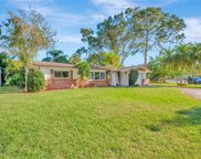 1037 Idlewild Drive N, Dunedin image