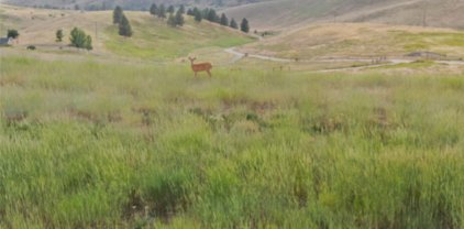 NHN Deemer Creek Road, Plains