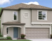10104 Branching Ship Trace, Wesley Chapel image