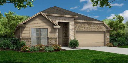 1614 Homewood Point Lane, Iowa Colony