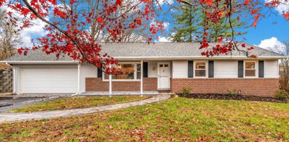 4632 Dower Ct, Ellicott City