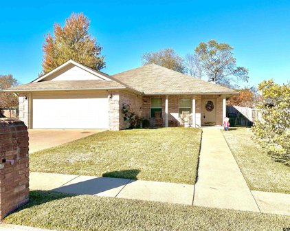 7032 La Hacienda Dr, Flint