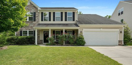 1219 Tanner Crossing  Lane, Indian Land